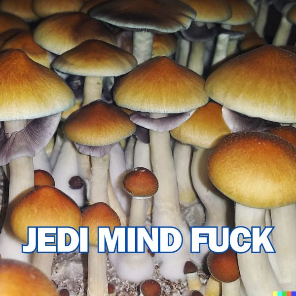Jedi Mind Fuck Spore (P. Cubensis)