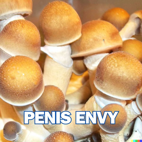 Penis Envy Spore (P. Cubensis)