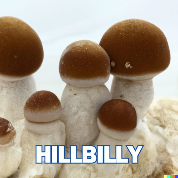 Hillbilly Spore (P. Cubensis)