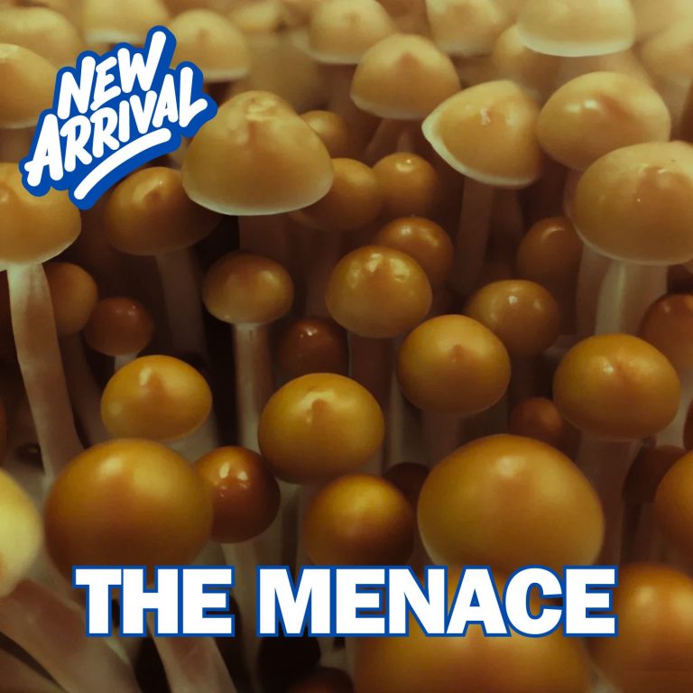 Menace Spore (Psilocybe Cubensis)